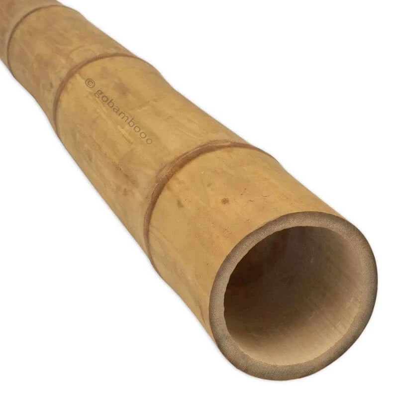 Guadua tyč Ø 11-13 cm